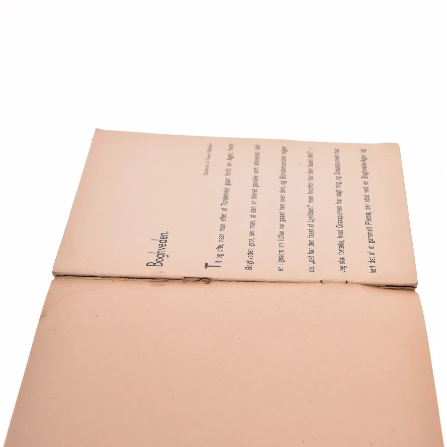 H.C. Andersen Boghveden Bog