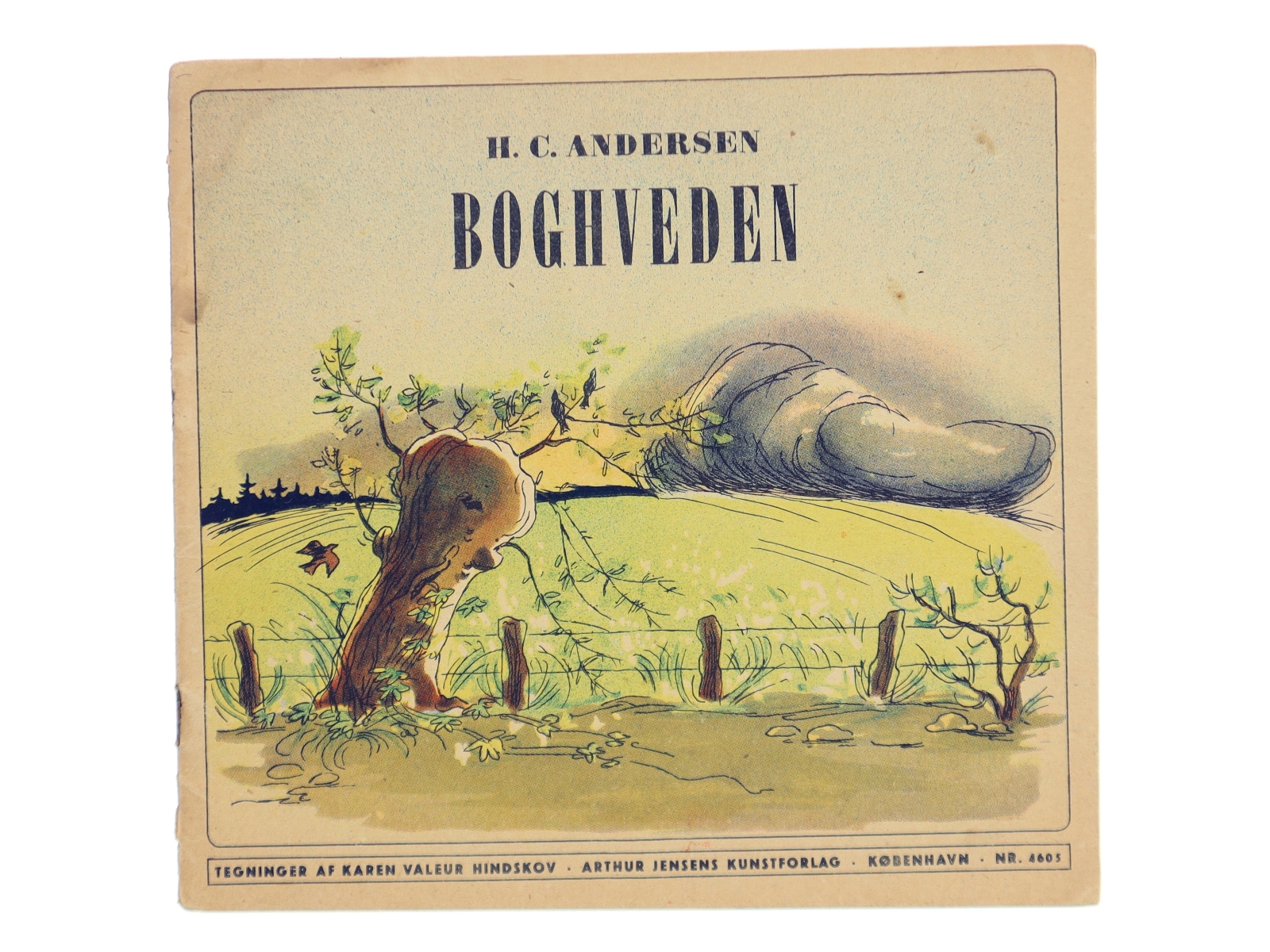 H.C. Andersen Boghveden Bog