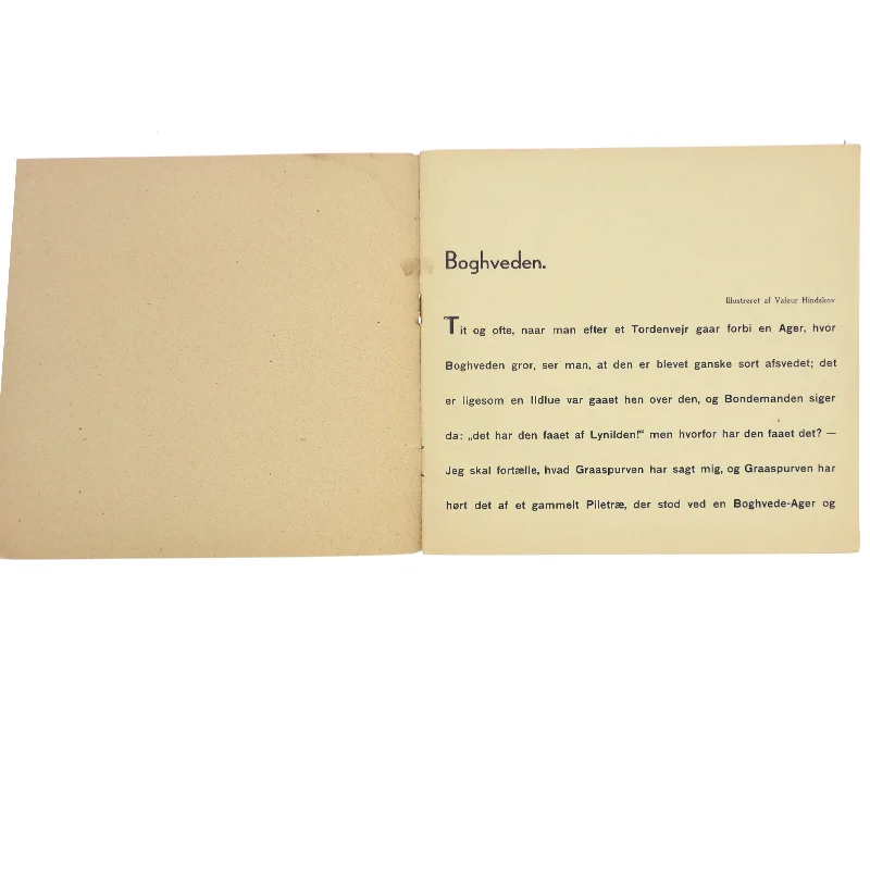 H.C. Andersen Boghveden Bog