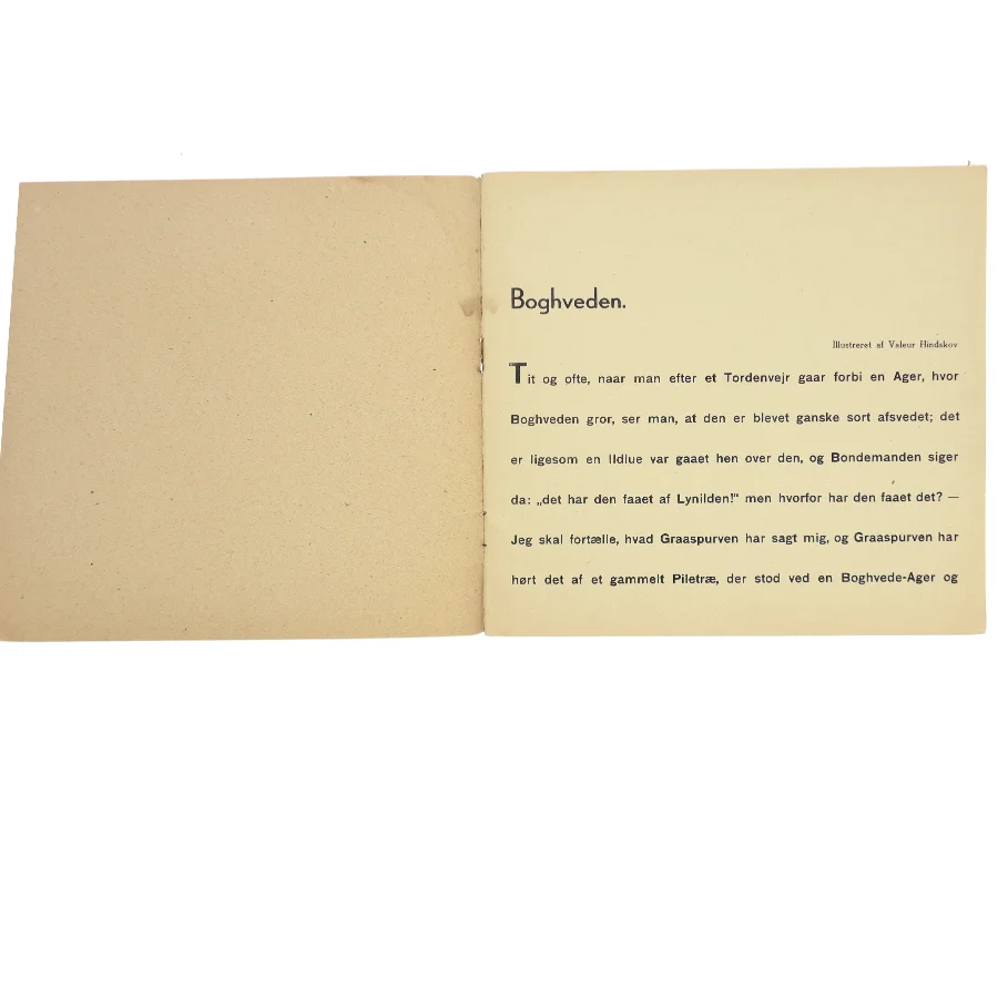 H.C. Andersen Boghveden Bog