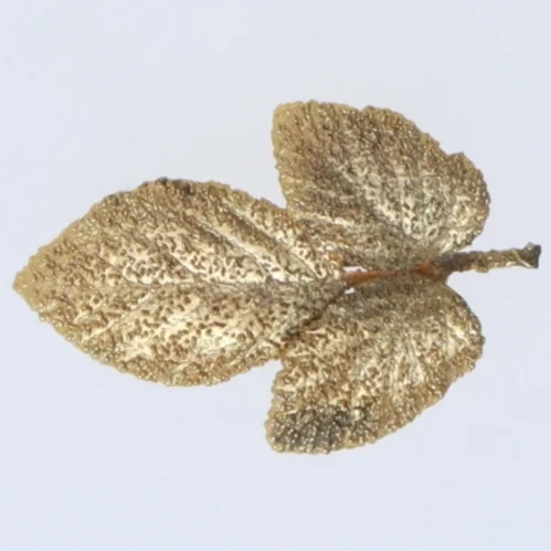Guld bladminiatyr broche (str. 6 cm)