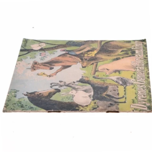 Dyrenes generalforsamling