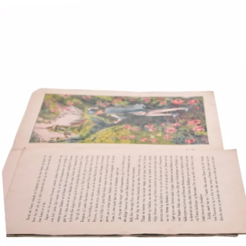 Torne Rose Billedbog fra Carl Larsens Forlag