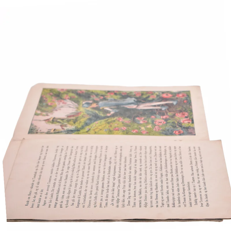 Torne Rose Billedbog fra Carl Larsens Forlag