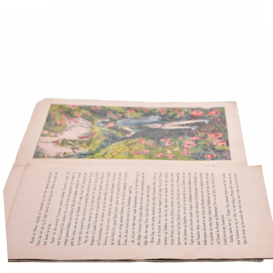 Torne Rose Billedbog fra Carl Larsens Forlag