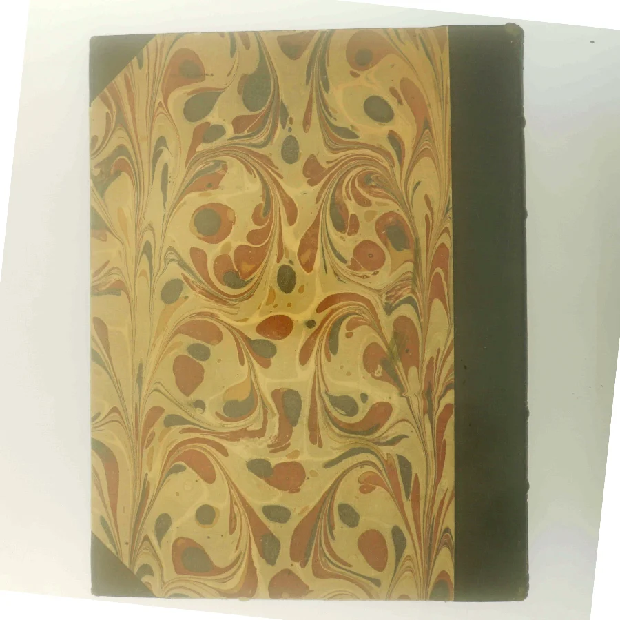 Livet i Danmark (Bog)