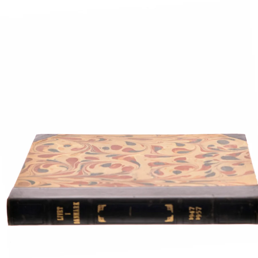 Livet i Danmark (Bog)