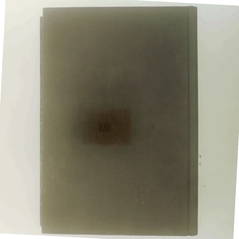 Kvinden som elskede Hitler (Bog)