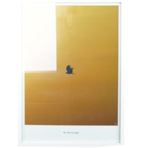 Plakat med ramme (str. 43 x 31 cm)