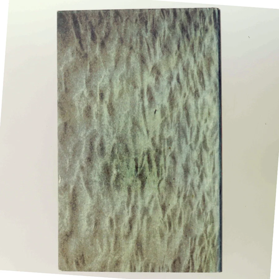 Sandflugt af Mette Winge (Bog)