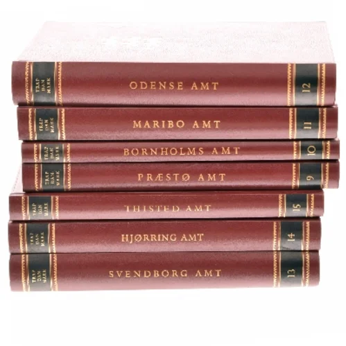 Trap Danmark af Peter Trap (Bog)