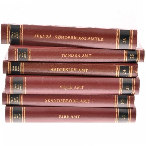 Trap Danmark af Peter Trap (Bog)