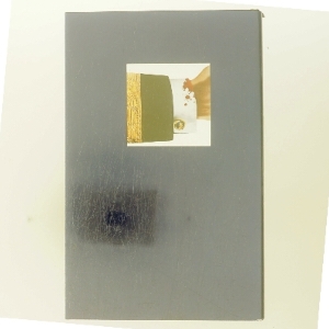 En borger hævet over enhver mistanke af Jan Guillou (Bog)