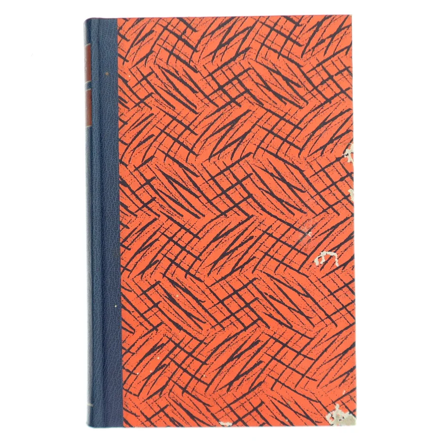 Terror af Torben Nielsen (Bog)