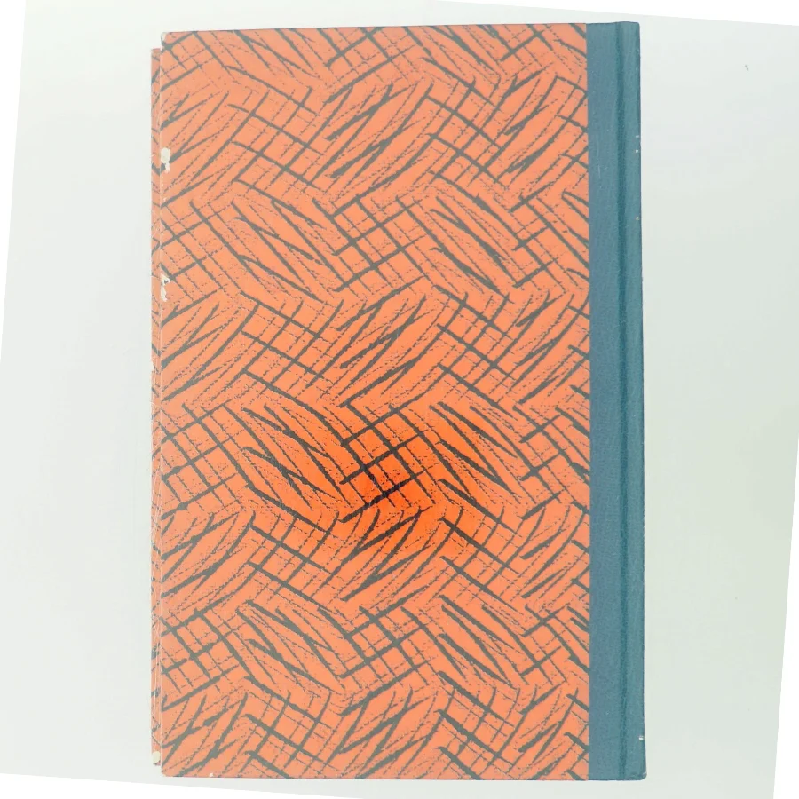 Terror af Torben Nielsen (Bog)