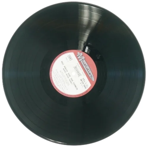 Bill Harley and the comets fra Musid Ize (str. 30 cm)