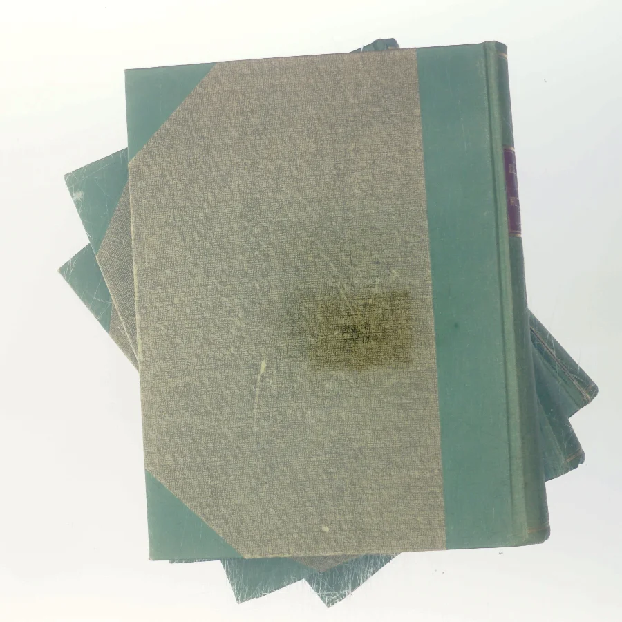 Handbog for Vinduesjem