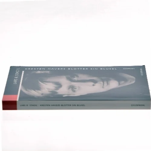 Kresten Havers blotter sin blusel : roman af Lars R. Stadil (Bog)