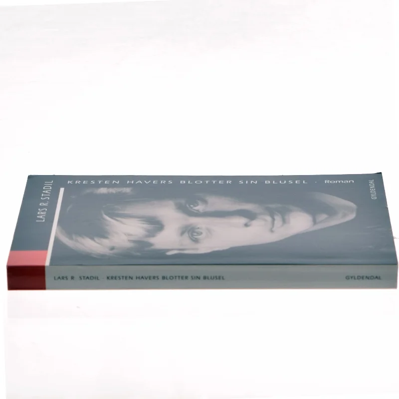 Kresten Havers blotter sin blusel : roman af Lars R. Stadil (Bog)