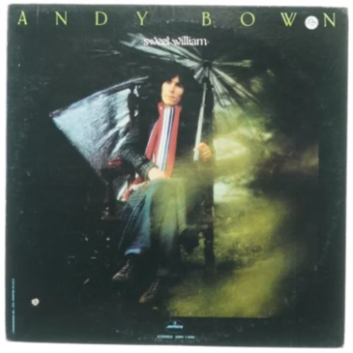 Andy Bown, sweet william fra Mercury (str. 30 cm)