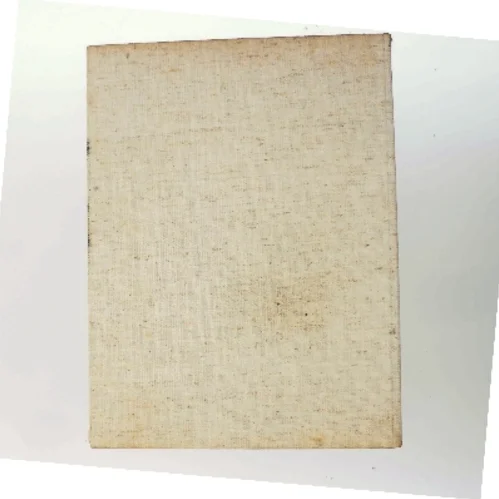 Det Danske Staalvalseværk A/S af <Bogens forfattere> (Bog)