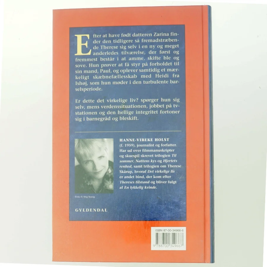 Det virkelige liv : roman af Hanne-Vibeke Holst (Bog)