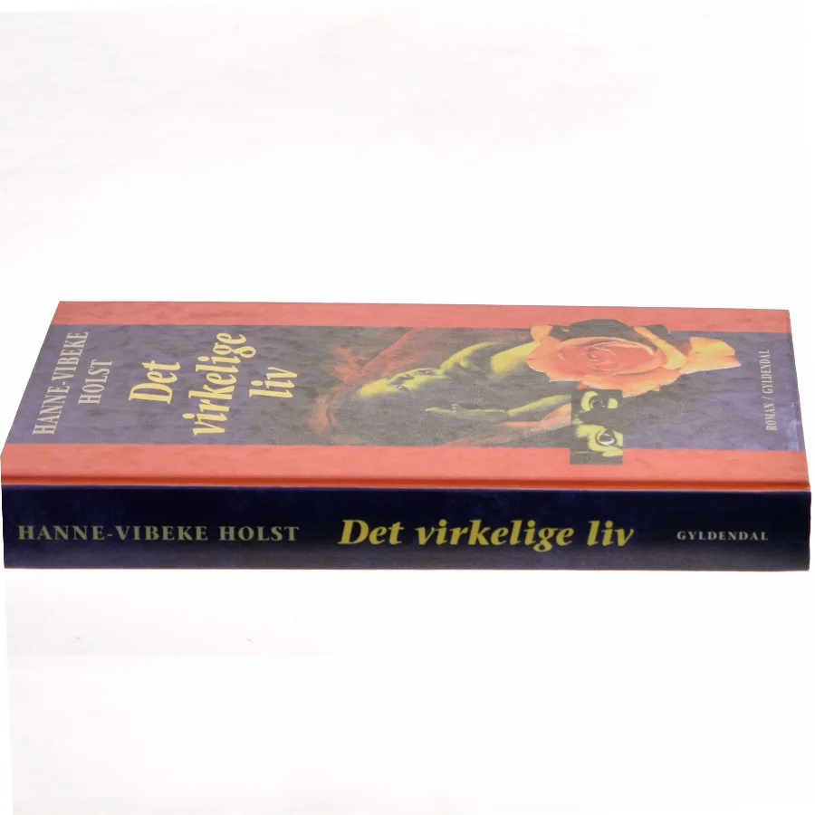 Det virkelige liv : roman af Hanne-Vibeke Holst (Bog)