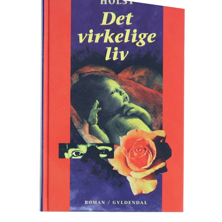Det virkelige liv : roman af Hanne-Vibeke Holst (Bog)