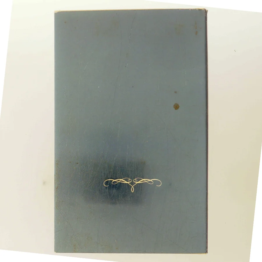 Bag damen stod en Christian af Jane Aamund (Bog)