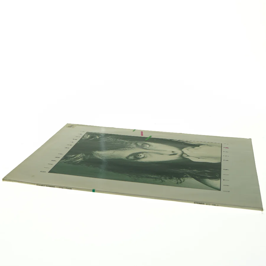 Gianna Nannini Vinyl LP (str. 31 x 31 cm)