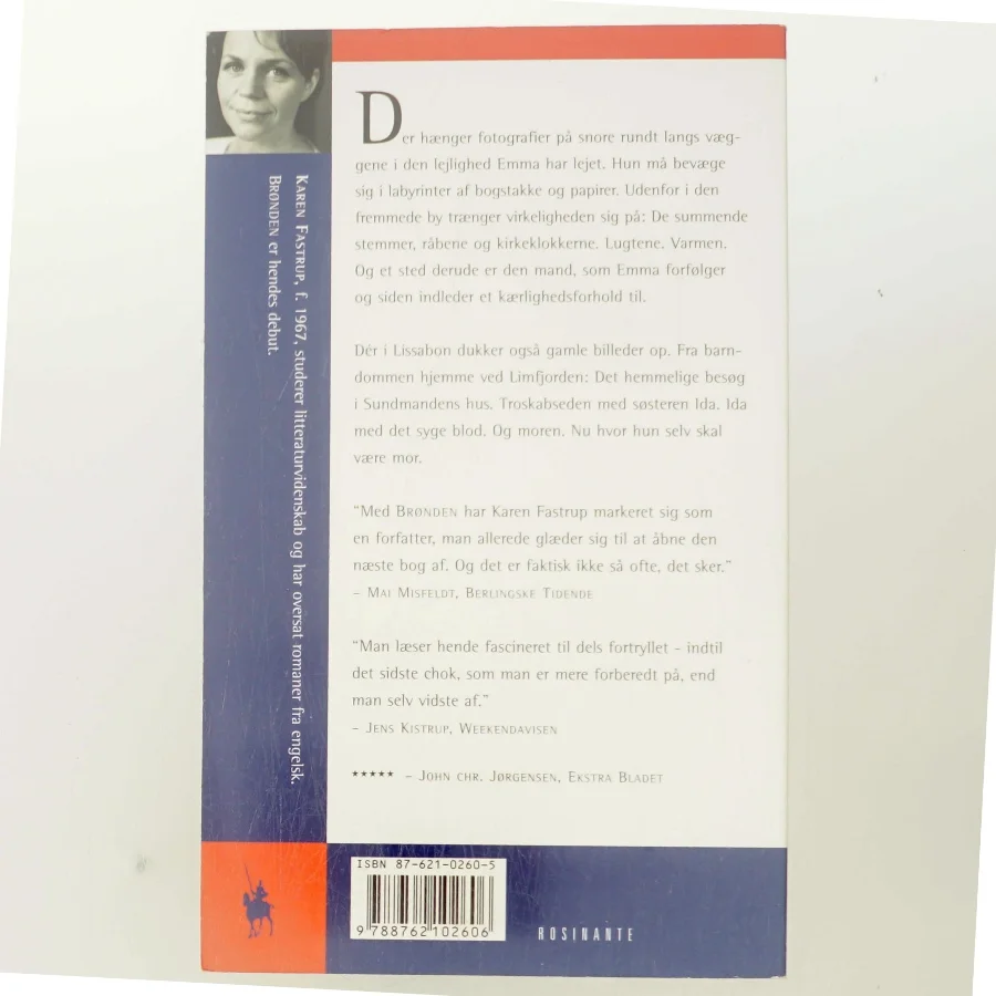 Brønden : roman af Karen Fastrup (Bog)