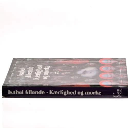 Kærlighed og mørke af Isabel Allende (Bog)
