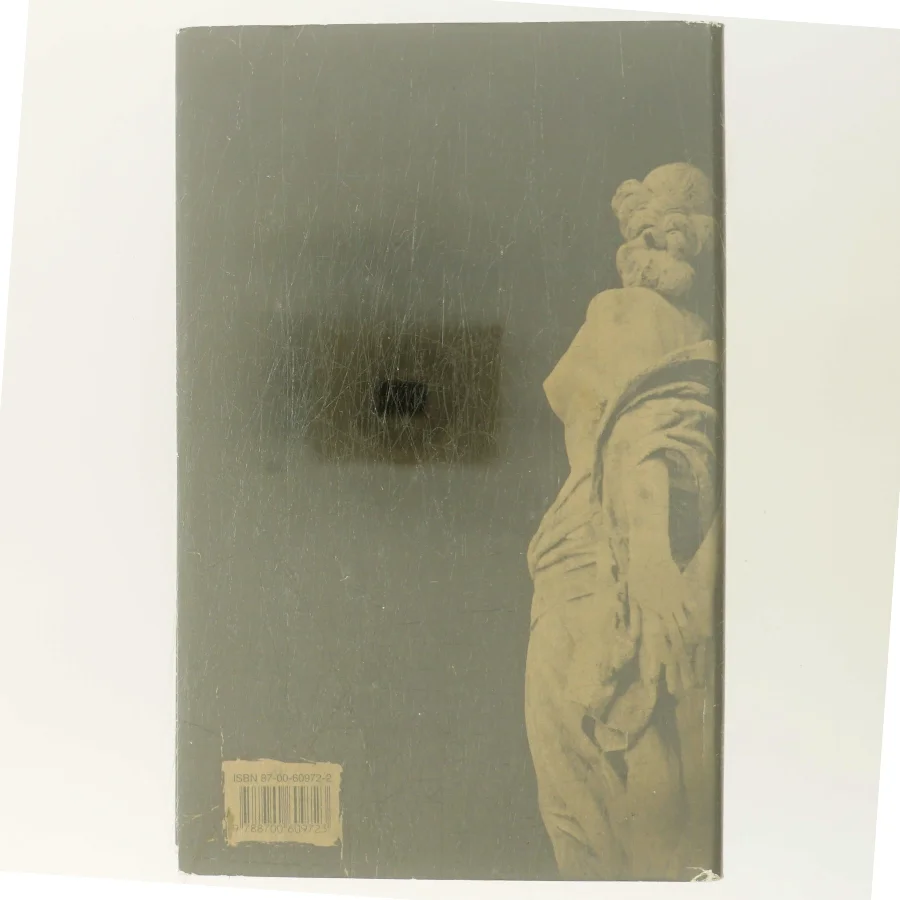 Pigerne : roman af Maria Helleberg (Bog)