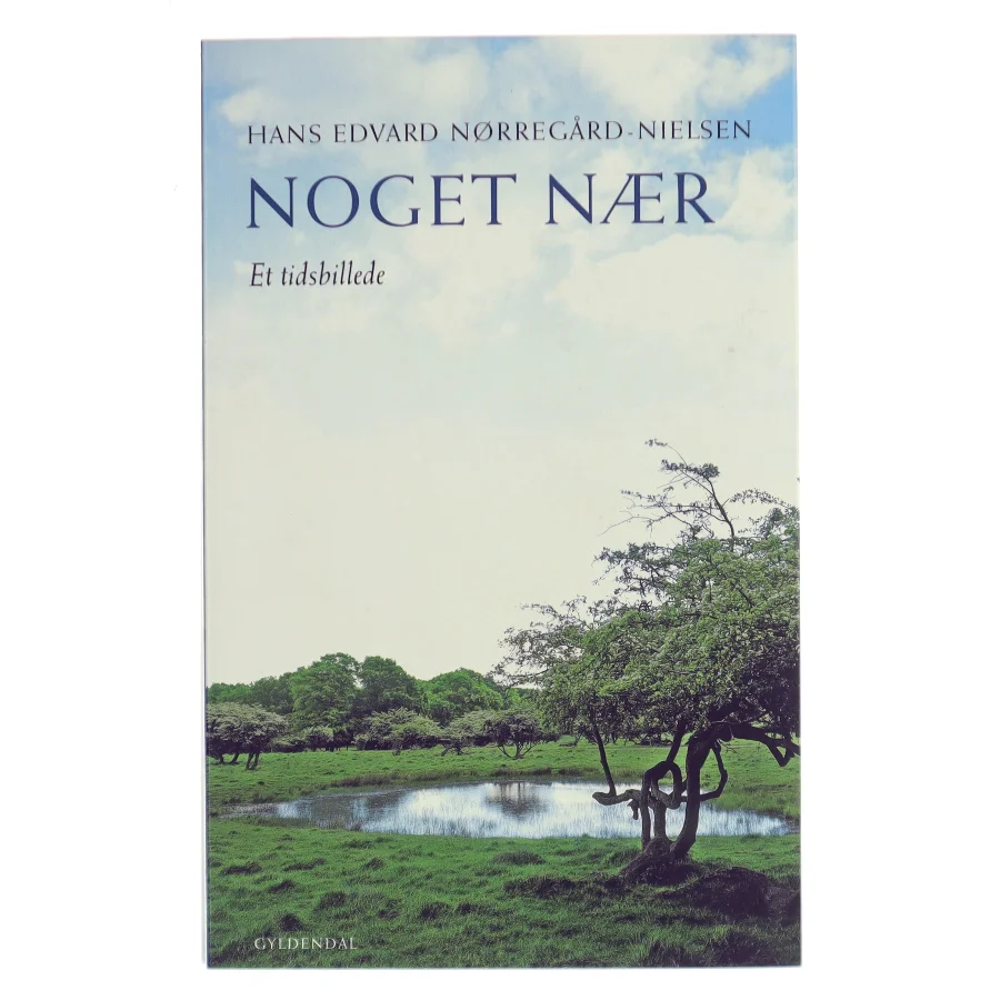 Noget nær af Hans Edvard Nørregård-Nielsen (Bog)