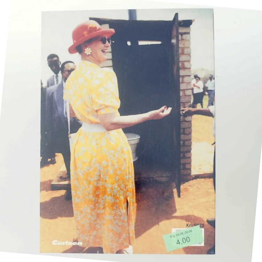 Billeder 96 af <Bogens forfattere> (Bog)