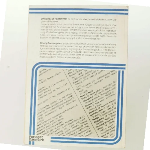 Danske efternavne af Georg Søndergaard (Bog)