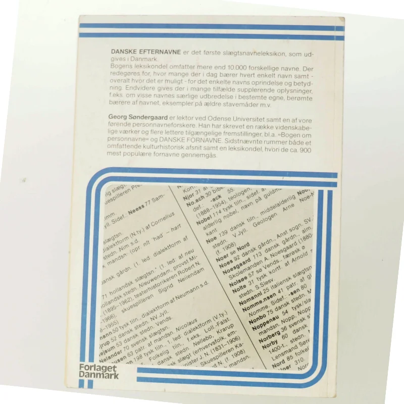 Danske efternavne af Georg Søndergaard (Bog)