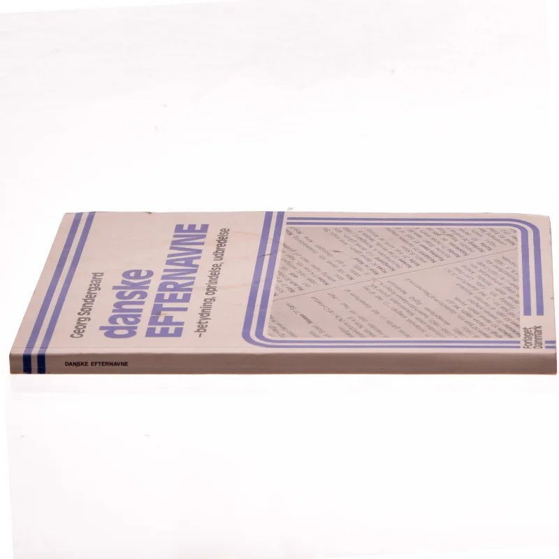 Danske efternavne af Georg Søndergaard (Bog)