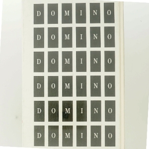 Domino af Anders Bodelsen (Bog)