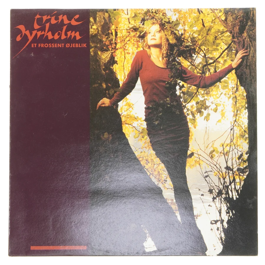 Trine Dyrholm - Et Frossent Øjeblik LP