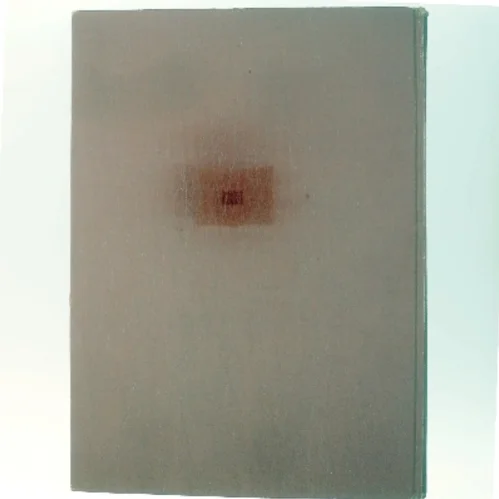 året – 1960 af <Forfatter(e) ikke angivet> (Bog)