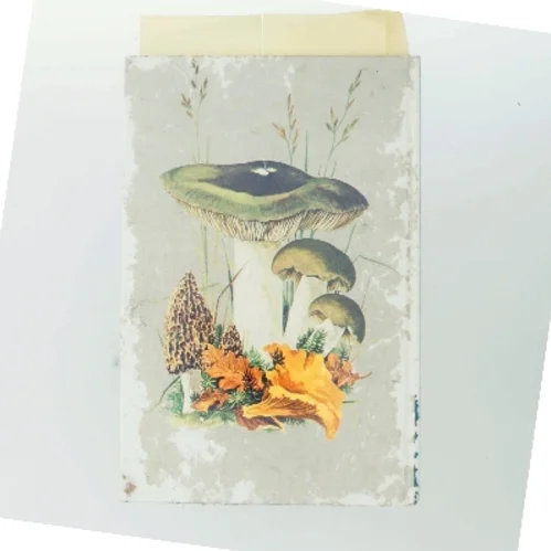 Madsvampe i farver af <Bog ikke angivet forfatter> (Bog)