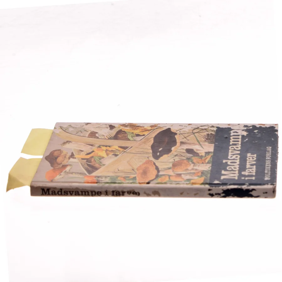 Madsvampe i farver af <Bog ikke angivet forfatter> (Bog)