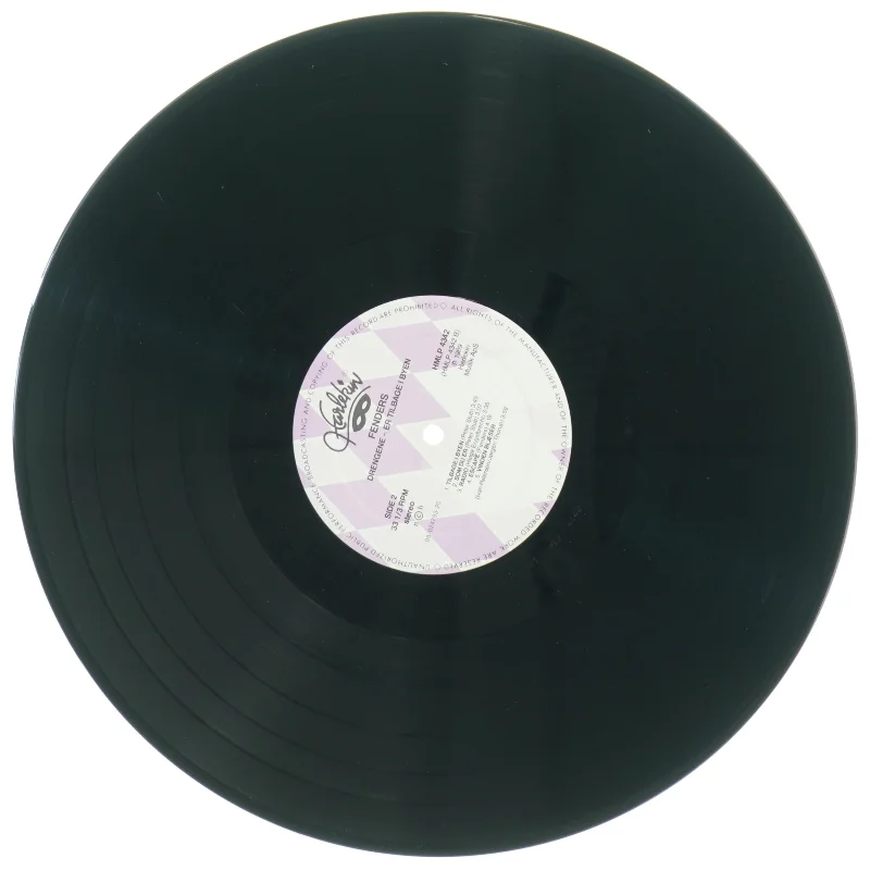 Fenders Drengene er tilbage i byen med Fenders (LP) (str. 31 x 31 cm)