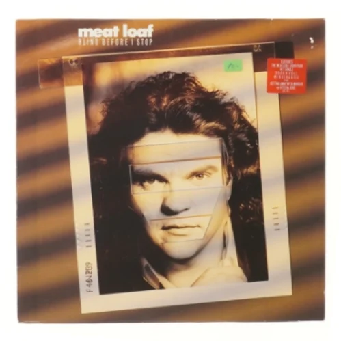 Meat Loaf - Blind Before I Stop LP