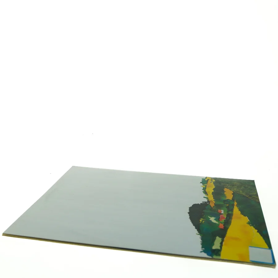 Erik Grip: I dag er landet vort - LP (str. 31 x 31 cm)