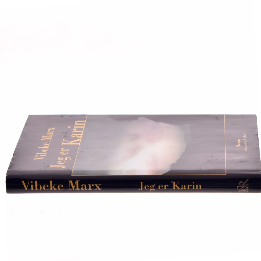 Jeg er Karin af Vibeke Marx (Bog)