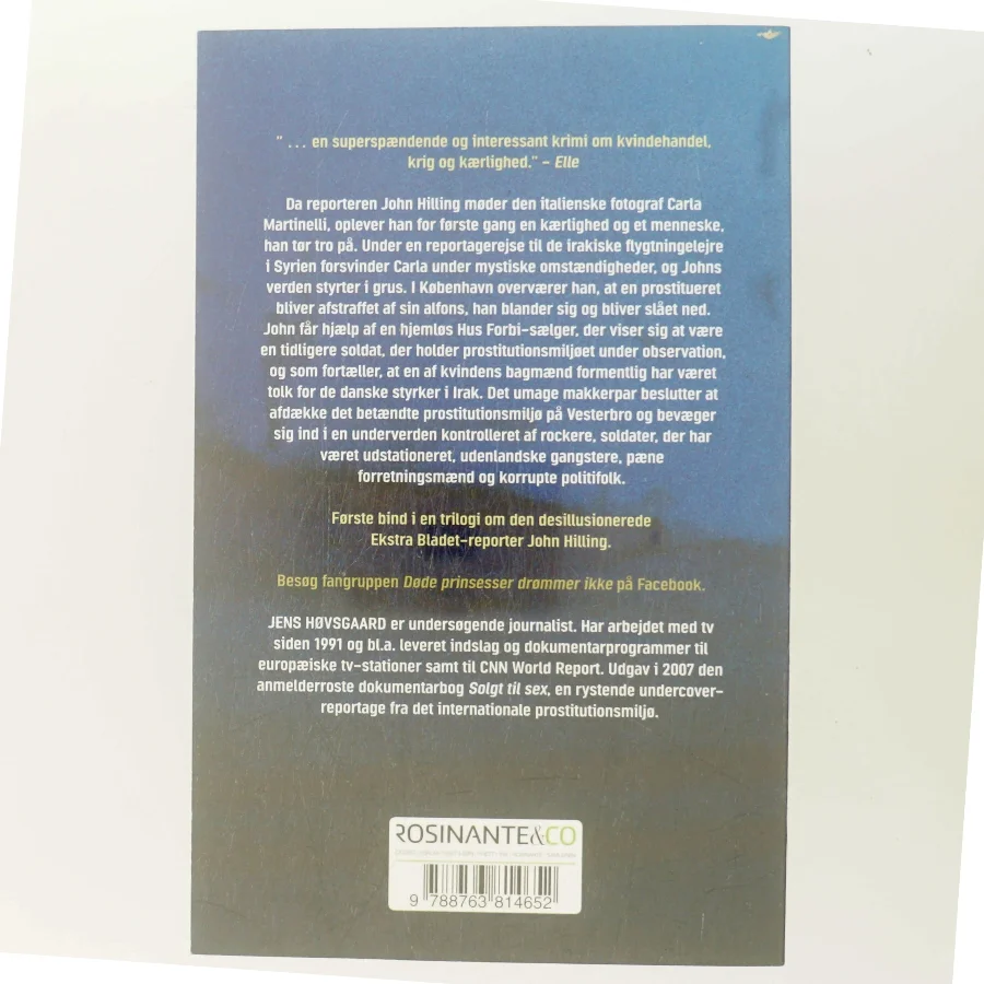 Døde prinsesser drømmer ikke : kriminalroman af Jens Høvsgaard (Bog)