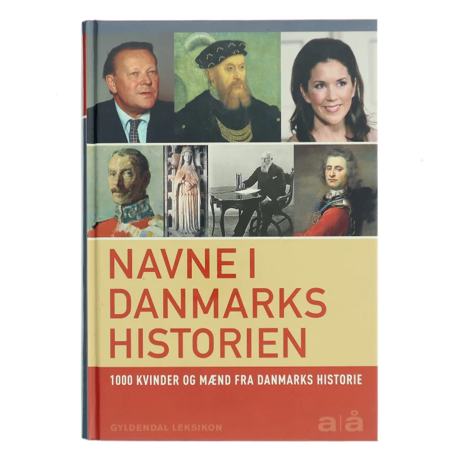 Navne i Danmarkshistorien af Lars Bisgaard (f. 1958) (Bog)