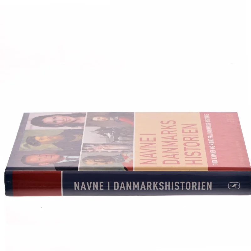 Navne i Danmarkshistorien af Lars Bisgaard (f. 1958) (Bog)